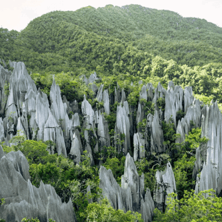 Mulu National Park