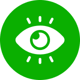 Vision